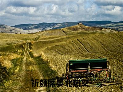 (热推新书)祈颜席晏北完整版免费小说无弹窗阅读_祈颜席晏北最新章节列表_笔趣阁（祈颜席晏北）