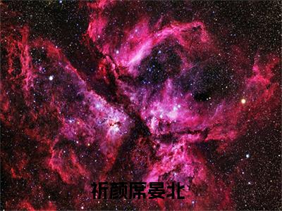 祈颜席晏北（祈颜席晏北）全文免费阅读大结局-（祈颜席晏北）最新章节阅读