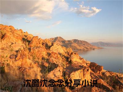 沈懿沈念念（沈懿沈念念）全文免费阅读无弹窗大结局_（沈懿沈念念无弹窗）最新章节免费阅读_笔趣阁