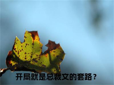 开局就是总裁文的套路？（南洙决陆岑岑）全文在线阅读无弹窗大结局_南洙决陆岑岑全文无弹窗最新章节列表