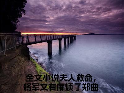 夫人救命，将军又有麻烦了郑曲尺(夫人救命，将军又有麻烦了郑曲尺)在线阅读无弹窗大结局-夫人救命，将军又有麻烦了郑曲尺小说最新章节阅读_笔趣阁（夫人救命，将军又有麻烦了郑曲尺）