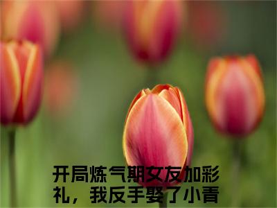 开局炼气期女友加彩礼，我反手娶了小青梅徐明浩(开局炼气期女友加彩礼，我反手娶了小青梅徐明浩)全文免费阅读无弹窗大结局_开局炼气期女友加彩礼，我反手娶了小青梅徐明浩（开局炼气期女友加彩礼，我反手娶了小青梅徐明浩全文）最新章节列表笔趣阁（开局炼气期女友加彩礼，我反手娶了小青梅徐明浩）