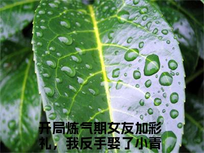 开局炼气期女友加彩礼，我反手娶了小青梅徐明浩抖音小说-小说主角叫什么开局炼气期女友加彩礼，我反手娶了小青梅徐明浩