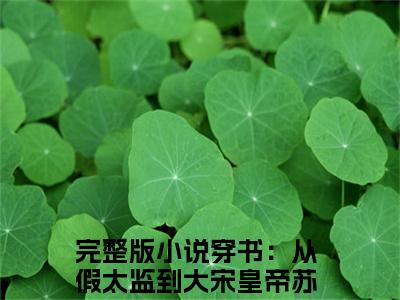 穿书：从假太监到大宋皇帝苏源小说最新章节（穿书：从假太监到大宋皇帝苏源全文免费）小说全集无弹窗大结局_穿书：从假太监到大宋皇帝苏源最新章节列表_笔趣阁（穿书：从假太监到大宋皇帝苏源）