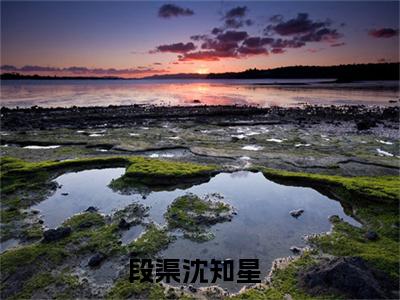 这世间，从此以后只剩我一人热门的小说段渠沈知星最新更新这世间，从此以后只剩我一人-这世间，从此以后只剩我一人无删减版