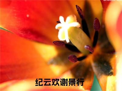 （纪云欢谢景行）全文免费阅读无弹窗大结局_纪云欢谢景行最新章节列表_笔趣阁