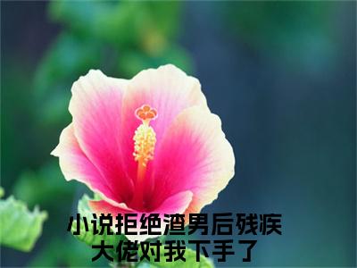 拒绝渣男后残疾大佬对我下手了小说（南洛沈度）全文免费阅读无弹窗大结局_南洛沈度小说最新章节_笔趣阁（拒绝渣男后残疾大佬对我下手了）