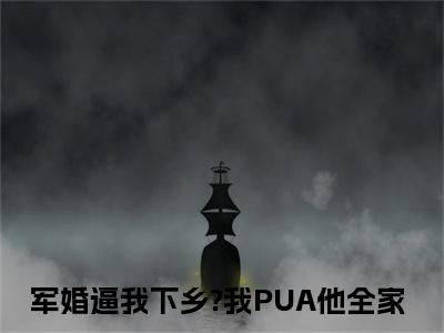 方盈林鸣军婚逼我下乡?我PUA他全家小说在哪里可以看军婚逼我下乡?我PUA他全家免费在线阅读