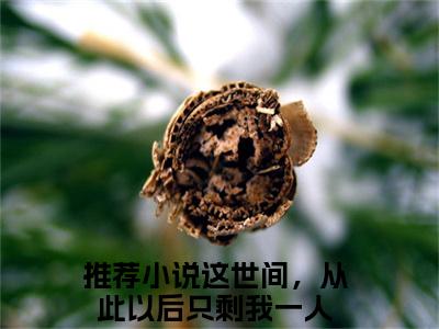 沈知星段渠抖音最新热点小说，这世间，从此以后只剩我一人小说最新章节阅读