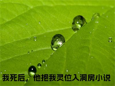 小说我死后，他抱我灵位入洞房苏媛江北辰求书热文免费阅读-我死后，他抱我灵位入洞房小说分享全文苏媛江北辰