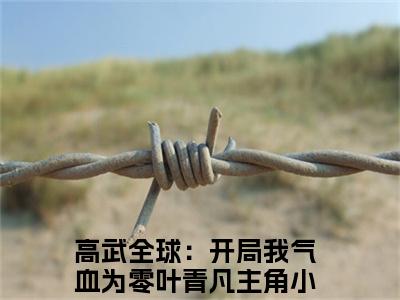 高武全球：开局我气血为零叶青凡小说（高武全球：开局我气血为零叶青凡）全文免费阅读无弹窗大结局_（高武全球：开局我气血为零叶青凡）结局最新章节列表_笔趣阁