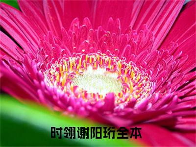 时翎谢阳珩小说最新章节（时翎谢阳珩）全文免费阅读无弹窗大结局_时翎谢阳珩免费阅读（时翎谢阳珩小说）