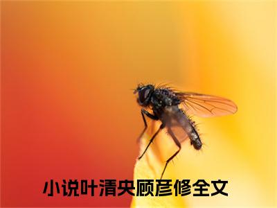 叶清央顾彦修小说（叶清央顾彦修）全文免费阅读无弹窗大结局_（叶清央顾彦修）叶清央顾彦修小说免费阅读无弹窗最新章节列表_笔趣阁（叶清央顾彦修）