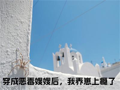 穿成恶毒嫂嫂后，我养崽上瘾了（景栩沈妤欢）无弹窗小说免费阅读_穿成恶毒嫂嫂后，我养崽上瘾了最新章节免费阅读_笔趣阁