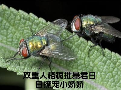 宋妧谢行之（双重人格疯批暴君日日撩宠小娇娇）精彩满分小说-强烈推荐双重人格疯批暴君日日撩宠小娇娇（宋妧谢行之）小说精彩全文阅读