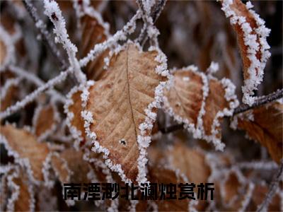 南湮渺北澜烛小说全文免费阅读无弹窗大结局_(南湮渺北澜烛)南湮渺北澜烛最新章节列表笔趣阁（南湮渺北澜烛）