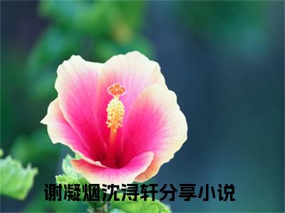 谢凝烟沈浔轩精彩章节免费阅读_（谢凝烟沈浔轩）谢凝烟沈浔轩抖音热推小说最新章节阅读