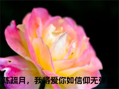 陈疏月，我将爱你如信仰（陈疏月江清寒）精选热门小说-小说（陈疏月，我将爱你如信仰）陈疏月江清寒全文免费阅读最新章节列表