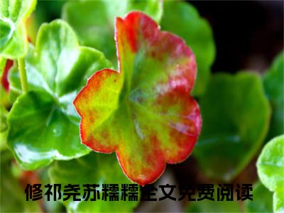 修祁尧苏糯糯（修祁尧苏糯糯最新全章节大结局）全文阅读