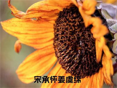 宋承怀姜虞绵全文免费阅读（宋承怀姜虞绵）全文免费阅读大结局_宋承怀姜虞绵全文免费阅读无弹窗_笔趣阁