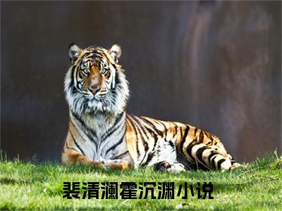 裴清澜霍沉渊（裴清澜霍沉渊免费小说）全文免费阅读无弹窗大结局_裴清澜霍沉渊免费小说最新章节列表_笔趣阁