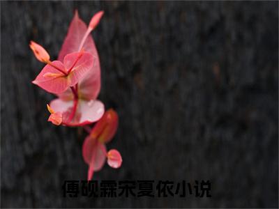 傅砚霖宋夏依无广告小说（傅砚霖宋夏依）全文免费阅读无弹窗大结局-傅砚霖宋夏依在线阅读