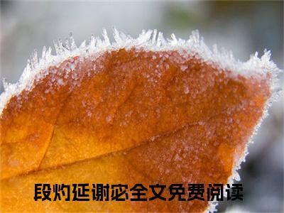 段灼延谢宓小说最新章节（段灼延谢宓）全文免费阅读无弹窗大结局_段灼延谢宓免费阅读（段灼延谢宓小说）