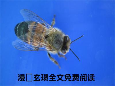 漫婳玄瓒小说最新章节免费阅读-漫婳玄瓒全文赏析完整版