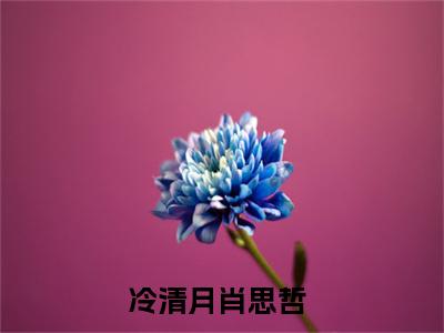 《热门小说冷清月肖思哲》最新章节by冷清月肖思哲完整版在线阅读