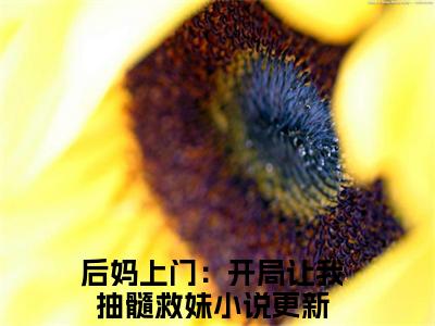 【全文】《林菀》小说txt在线阅读_（林菀全章节）-林菀_后妈上门：开局让我抽髓救妹在线阅读