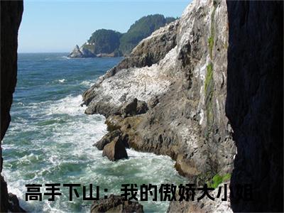 高手下山：我的傲娇大小姐（林凡）小说全文免费读无弹窗大结局_高手下山：我的傲娇大小姐小说全文免费阅读最新章节列表