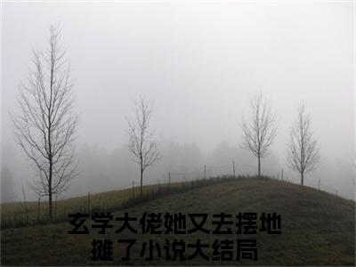 卫绵免费小说-玄学大佬她又去摆地摊了小说完整版阅读