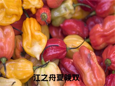 江之舟夏晚双小说(江之舟夏晚双)全文免费阅读无弹窗大结局_(江之舟夏晚双小说免费阅读)江之舟夏晚双无弹窗最新章节列表_笔趣阁（江之舟夏晚双）