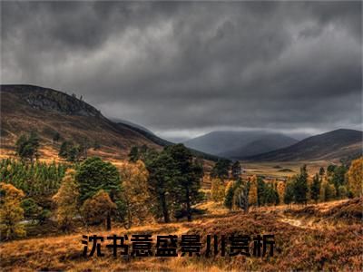 沈书意盛景川小说全文免费阅读 （沈书意盛景川）免费阅读全文免费阅读无弹窗大结局