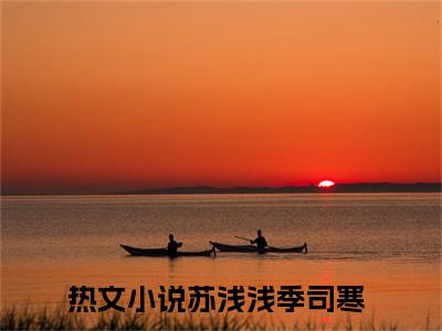 《苏浅浅季司寒》全文免费阅读无弹窗大结局-苏浅浅季司寒 全文全章节免费阅读