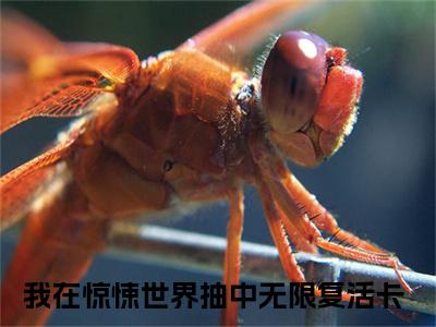 江应星祝奇正（我在惊悚世界抽中无限复活卡）小说小说全集我在惊悚世界抽中无限复活卡无删减在线阅读