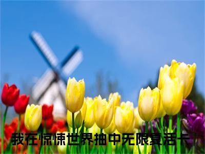 我在惊悚世界抽中无限复活卡全文免费免费阅读无弹窗最新章节列表_笔趣阁（江应星祝奇正全文免费）