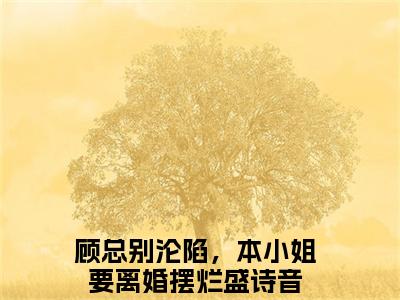 顾总别沦陷，本小姐要离婚摆烂盛诗音小说免费阅读 顾总别沦陷，本小姐要离婚摆烂盛诗音免费阅读无广告