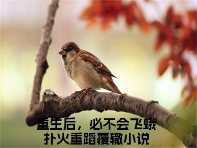 小说重生后，必不会飞蛾扑火重蹈覆辙免费在线阅读-小说主角叫沈御京叶乐妍的小说完整版免费读全文