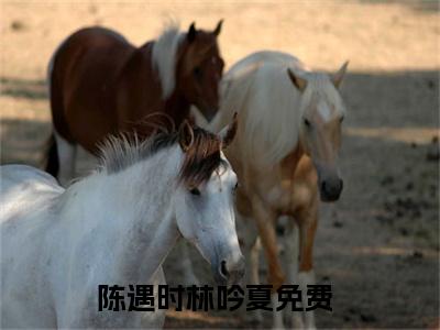 陈遇时林吟夏免费阅读(陈遇时林吟夏)小说全文免费阅读无弹窗大结局_(陈遇时林吟夏)最新章节列表_笔趣阁(陈遇时林吟夏)