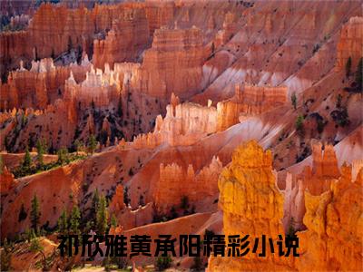 祁欣雅黄承阳全文（祁欣雅黄承阳小说）全文免费阅读无弹窗大结局_祁欣雅黄承阳免费最新章节列表_笔趣阁（祁欣雅黄承阳小说）