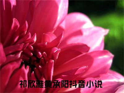 祁欣雅黄承阳最新热点小说-祁欣雅黄承阳免费观看完结版