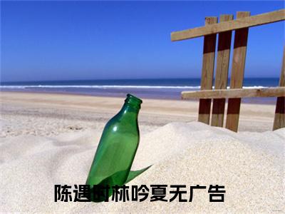 陈遇时林吟夏小说（陈遇时林吟夏）最新章节阅读-最新热点小说陈遇时林吟夏