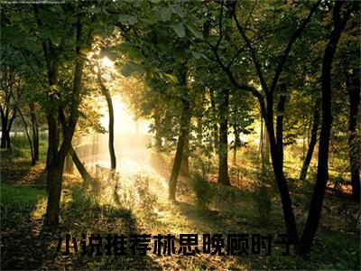 林思晚顾时予在线阅读全文免费阅读无弹窗大结局_林思晚顾时予最新章节列表_笔趣阁