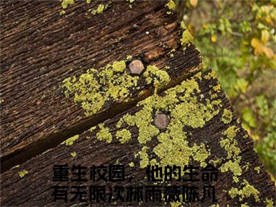 林雨薇陈凡（林雨薇陈凡）全文免费阅读无弹窗大结局_重生校园，他的生命有无限次最新章节列表