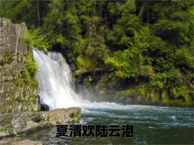 夏清欢陆云湛《夏清欢陆云湛小说免费阅读》完整_夏清欢陆云湛小说（夏清欢陆云湛）全文免费阅读大结局