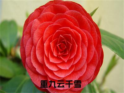 【新书】《与君相逢，白首无归》全文免费阅读无弹窗大结局-重九云千雪全章节免费阅读