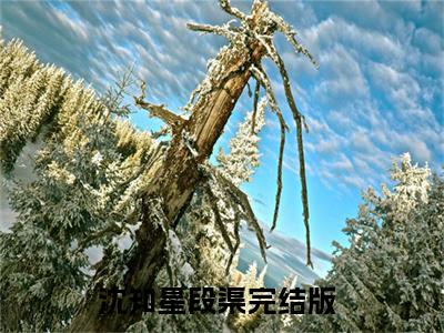 沈知星段渠（沈知星段渠）全文免费阅读无弹窗_沈知星段渠最新小说_笔趣阁（沈知星段渠）