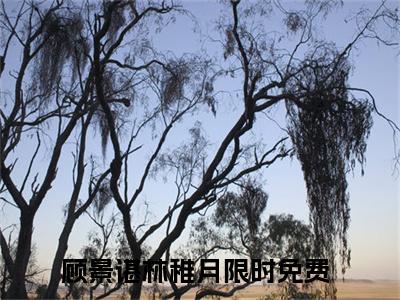 顾景谌林稚月无弹窗热文（顾景谌林稚月）在线阅读-顾景谌林稚月小说在哪里可以看