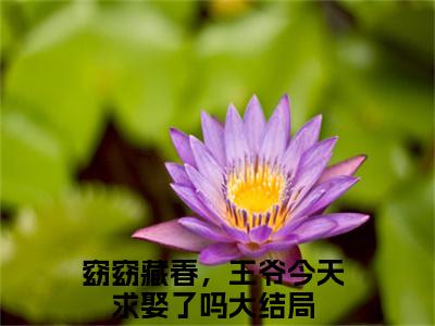 窈窈藏春，王爷今天求娶了吗（苏明珩苏玉窈）全文免费阅读大结局_苏明珩苏玉窈无弹窗最新章节列表